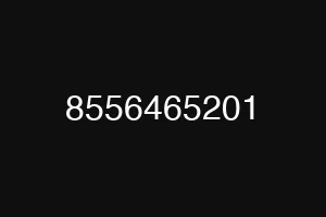 8556465201