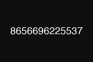 8656696225537
