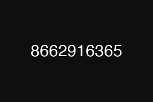 8662916365