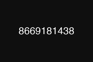 8669181438