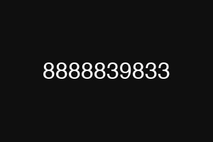 8888839833