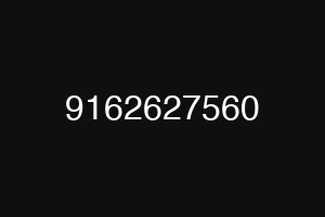 9162627560