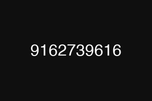 9162739616