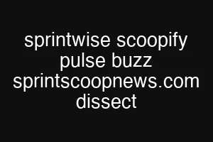 sprintwise scoopify pulse buzz sprintscoopnews.com dissect
